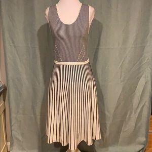 Banana Republic Striped Dress